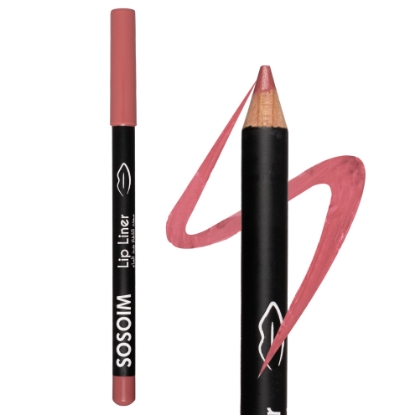 Picture of Lip Liner 204